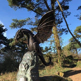 Fontaine Dragon