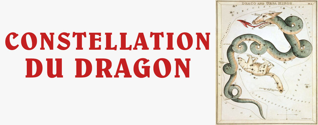 La Constellation du Dragon : Tout Savoir