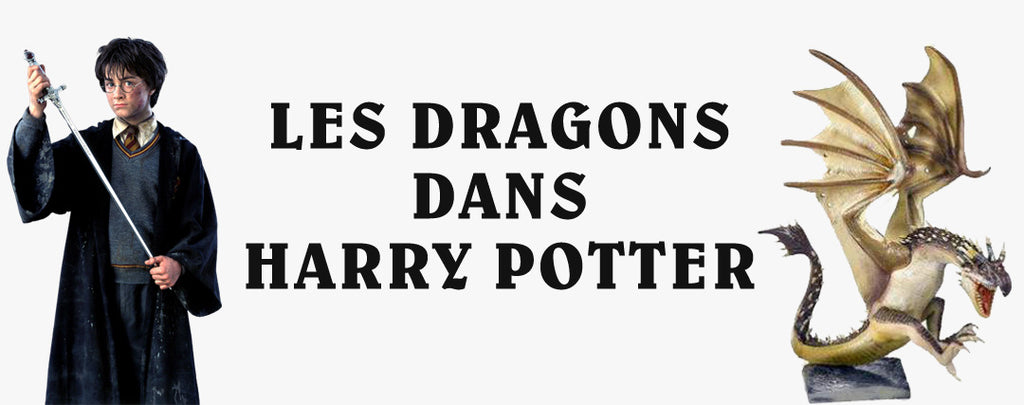Les Dragons dans Harry Potter