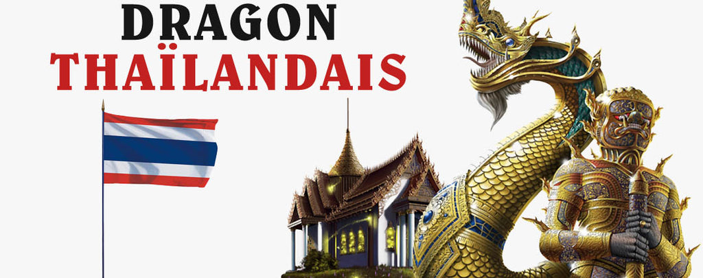 Les Dragons en Thaïlande