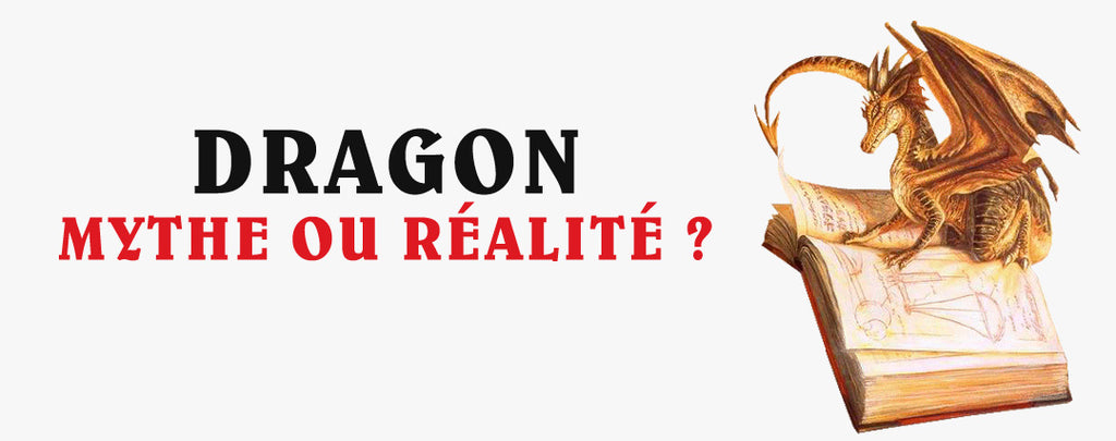 Dragon : Mythe ou Réalité ?