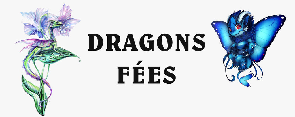 Dragons Fées : tout savoir !