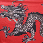 Robe Imprimée Dragon